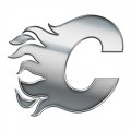 Calgary Flames Silver Logo Print Decal