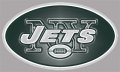 New York Jets Plastic Effect Logo Print Decal