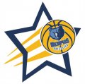 Memphis Grizzlies Basketball Goal Star logo Print Decal