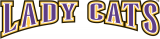 Western Carolina Catamounts 1996-2007 Wordmark Logo 04 Iron On Transfer