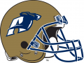 Akron Zips 2002-Pres Helmet Logo Print Decal