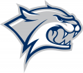 New Hampshire Wildcats 2000-Pres Secondary Logo 01 Print Decal