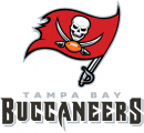 Tampa Bay Buccaneers 2014-Pres Wordmark Logo 09 Iron On Transfer
