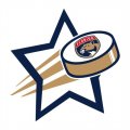 Florida Panthers Hockey Goal Star logo Iron On Transfer