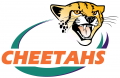 Central Cheetahs 2005-Pres Primary Logo Print Decal