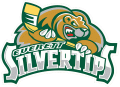 Everett Silvertips 2003 04-Pres Primary Logo Iron On Transfer