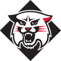 Davidson Wildcats 2010-Pres Alternate Logo Iron On Transfer