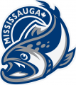 Mississauga Steelheads 2015 16-Pres Primary Logo Print Decal