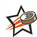 Anaheim Ducks Hockey Goal Star logo Print Decal