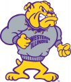 Western Illinois Leathernecks 1997-Pres Mascot Logo Iron On Transfer