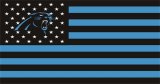 Carolina Panthers Flag001 logo Print Decal