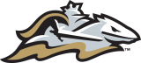 Charlotte Knights 2014-Pres Alternate Logo Iron On Transfer