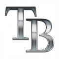 Tampa Bay Rays Silver Logo Print Decal