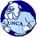 North CarolinaAsheville Bulldogs 1989-1997 Primary Logo Iron On Transfer