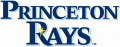 Princeton Rays 2009-Pres Primary Logo Print Decal