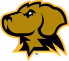 UMBC Retrievers 2010-Pres Secondary Logo Iron On Transfer