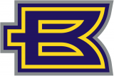 Birmingham Thunderbolts 2001 Alternate Logo 2 Print Decal