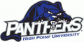 High Point Panthers 2004-2011 Primary Logo Iron On Transfer