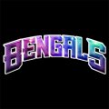 Galaxy Cincinnati Bengals Logo Iron On Transfer