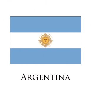 Argentina flag logo Print Decal