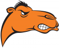 Campbell Fighting Camels 2005-2007 Alternate Logo Print Decal