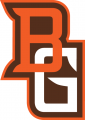 Bowling Green Falcons 2006-2011 Alternate Logo 05 Print Decal