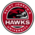 St.JosephsHawks 2001-Pres Alternate Logo 01 Print Decal