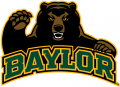 Baylor Bears 2005-2018 Alternate Logo 08 Print Decal