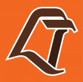 Bowling Green Falcons 1980-2005 Alternate Logo Iron On Transfer