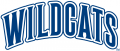 Villanova Wildcats 1996-Pres Wordmark Logo 02 Print Decal