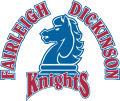 Fairleigh Dickinson Knights 2004-Pres Primary Logo Print Decal