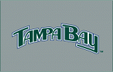 Tampa Bay Rays 2005-2007 Jersey Logo Iron On Transfer