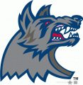 Hartford Wolf Pack 1999-2006 Alternate Logo Iron On Transfer