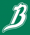 Reynosa Broncos 2009-Pres Cap Logo Print Decal