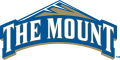 Mount St. Marys Mountaineers 2004-Pres Primary Logo Print Decal