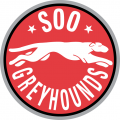 Sault Ste. Marie Greyhounds 1999 00-2008 09 Primary Logo Print Decal