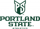 Portland State Vikings 2016-Pres Alternate Logo 01 Print Decal