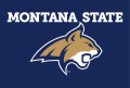 Montana State Bobcats 2013-Pres Alternate Logo 07 Iron On Transfer