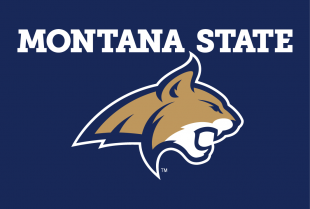 Montana State Bobcats 2013-Pres Alternate Logo 07 Iron On Transfer