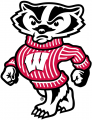 Wisconsin Badgers 2002-Pres Secondary Logo 01 Print Decal