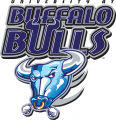 Buffalo Bulls 1997-2006 Primary Logo Print Decal