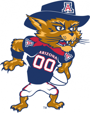 Arizona Wildcats 2003-2012 Mascot Logo 05 Iron On Transfer