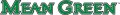 North Texas Mean Green 2005-Pres Wordmark Logo 04 Print Decal