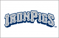 Lehigh Valley IronPigs 2008-Pres Jersey Logo Print Decal
