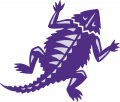 TCU Horned Frogs 2001-Pres Alternate Logo 01 Iron On Transfer