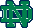 Notre Dame Fighting Irish 1994-Pres Alternate Logo 05 Print Decal