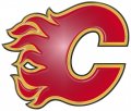 Calgary Flames Plastic Effect Logo Print Decal