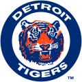 Detroit Tigers 1964-1993 Primary Logo Iron On Transfer