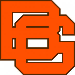 Bowling Green Falcons 1966-1979 Secondary Logo Iron On Transfer