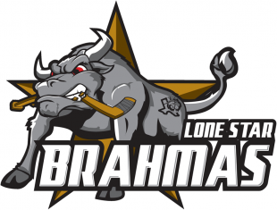 Lone Star Brahmas 2013 14-Pres Alternate Logo Iron On Transfer